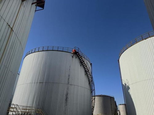 盤(pán)錦石化工廠以底價(jià)2245萬(wàn)成交，臻鑫玖投資引發(fā)行業(yè)關(guān)注